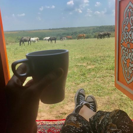 Dharma Horse Shelter Bungalows & Farmping Σίοφοκ Εξωτερικό φωτογραφία