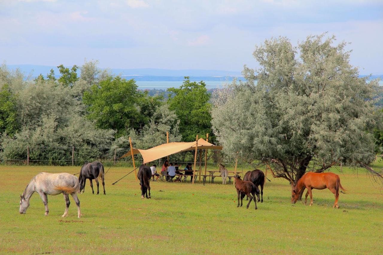 Dharma Horse Shelter Bungalows & Farmping Σίοφοκ Εξωτερικό φωτογραφία