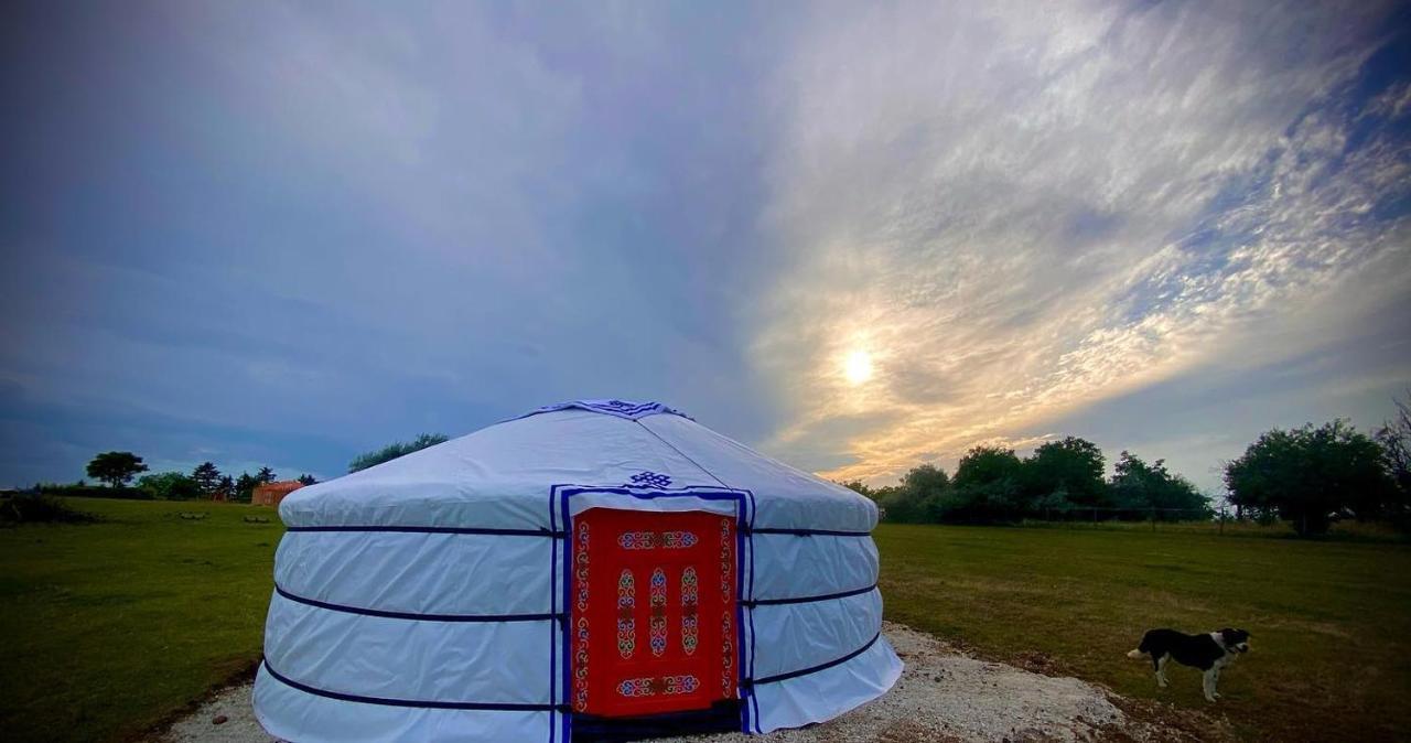 Dharma Horse Shelter Bungalows & Farmping Σίοφοκ Εξωτερικό φωτογραφία